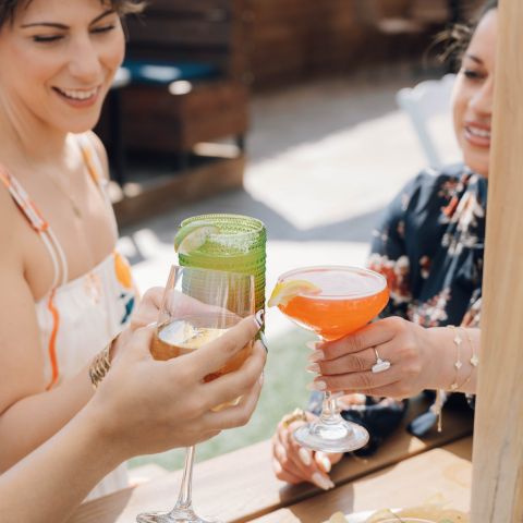 Ladies toasting with cocktails in their hands