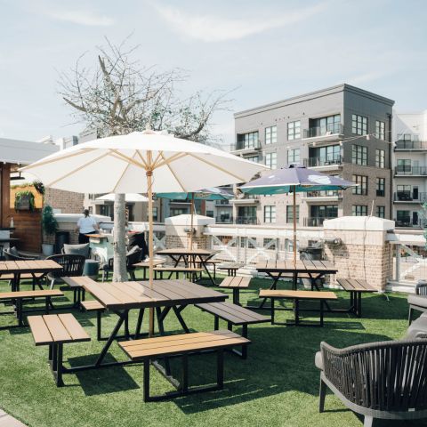 Venue Photo of AVA Rooftop Bar Lawn Area and Picnic Tables